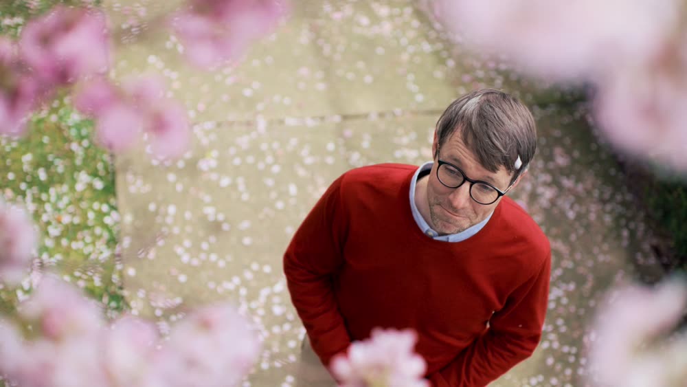 A man looking up through cherry blossoms