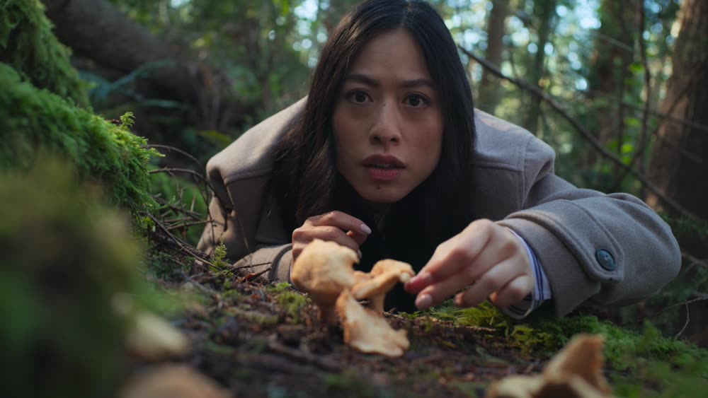 A woman foraging mushrooms on the forest floor